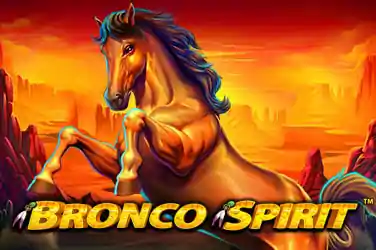 Bronco Spirit-min.webp